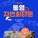 통영자연회타운 | 완벽 루트,겨울 바다+회센터 먹방 투어,통영자연회타운에서 즐긴 제철 회 한상 후기#통영자연회타운