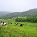 거창목장 이미지