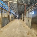 부발목장 이미지