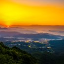 OK목장 이미지