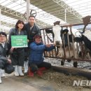 부여목장 이미지