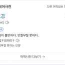다루마 네이버블로그