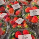 알로3 농장 이미지