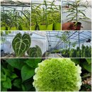 별밤농장 이미지