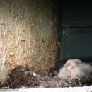 서상동143 이미지