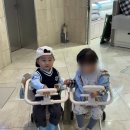 (주)쉘위고 | 한달사용후기 키머즈 쉘위고 트라이크 캐리어 내돈내산