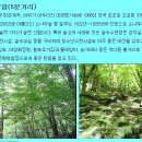 대관령황토펜션 이미지