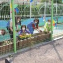 대영초등학교 이미지