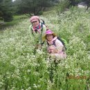 62회 정기산행 연천 고대산 계곡 카페 3주년 계곡 휴양 (2015.7.25일(토율) 이미지