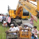 포항축산업협동조합 생축장 이미지