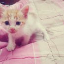 홍의청소년수련원 이미지