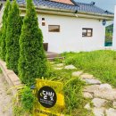 통일카정비 이미지