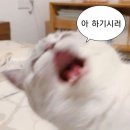 그대를 만나고 나이제 외롭지 않을 거에요 (ft.대유잼 4주차 후기)