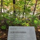 설악산 영시암(永矢庵) 이미지