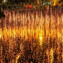 강변 공영주차장 화장실 이미지