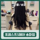 토성약국 | [서울/송파] 잠실 미용실 블랙커런트 염색 후기｜포레스트S헤어 송파점