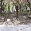 청룡사 등산로 이미지