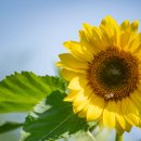 조제농장 이미지