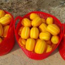 은이네하우스 이미지