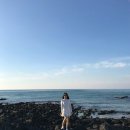 곽지정육
