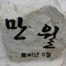 부산활어 이미지