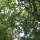 이경숙농장 이미지