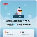 코테스 이미지