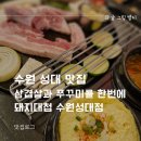 돼지대첩수원성대점 | 수원 성대 맛집 삼겹살과 쭈꾸미를 한번에 돼지대첩 수원성대점