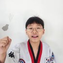 미르태권도 이미지