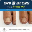 네일노브 | 네일아트 범계역 찐맛집 노브살롱 후기: 13명의 마법사들이 만든 손톱요정