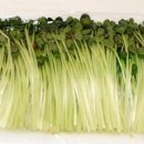 오늘은 뭘 먹지 건강밥상 이미지