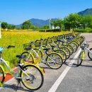 북면생태공원(다목적광장) 이미지