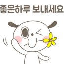 일등동태찌개와 낙지볶음 이미지