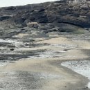 원 당구장 | 모든 객실 바다뷰인 NH농협생명 변산수련원 내돈내산 후기 (명절추첨/32평형/당구장이용)