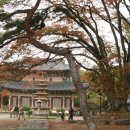 춘원여관 이미지