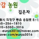 산골단감농원