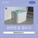 플라워펫 | 강아지 고양이 정수기 추천 딩동펫 플라워 정수기 내돈내산 솔직후기