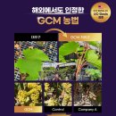 지씨엠 이미지