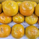 부유농장 이미지