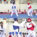 강호동태권도 TV리포트