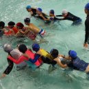 수영초등학교 이미지