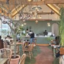 오송농장 | [오송카페]더다락농장식물카페,핑크뮬리카페, 식물카페 내돈내산 후기