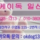 오케이독 이미지