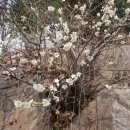 르노삼성평화점 이미지