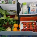 무릉외갓집 이미지