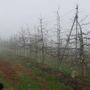 장금농장 이미지