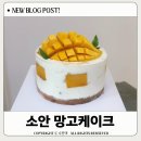 소안 | 창원케이크 소안 망고케이크 포장 후기
