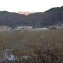 정선공인중개사사무소 이미지