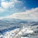 대관령밧데리 이미지