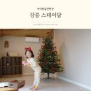 스테이담감성숙소펜션 | 강릉 주문진 독채펜션 감성 넘치는 스테이담